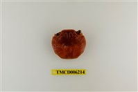 藏品(白紋方蟹)的圖片